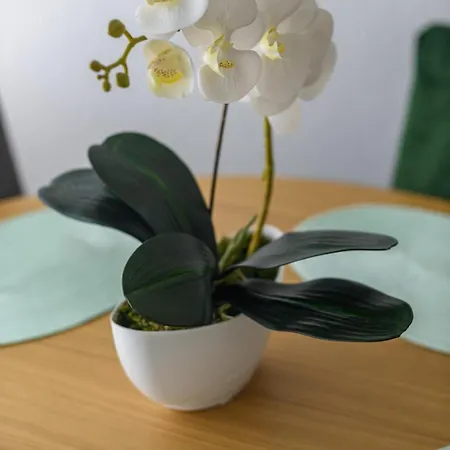 Cesarica アパート トロギール